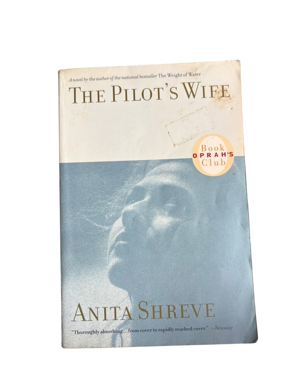 3/$20 The Pilot's Wife Paperback Book - Blue and Cream